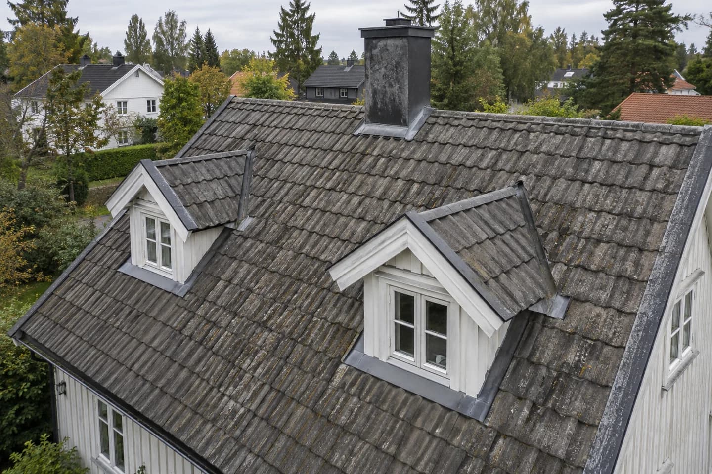 Illustrasjon: Illustrasjon: Boligtak i omgivelser inspirert av Haslum